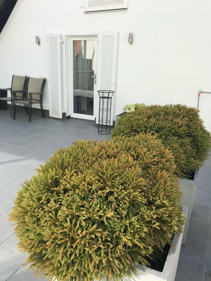 Casa Christina Apartment Orschweier Exterior photo